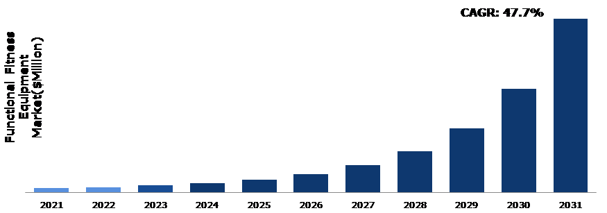 CHINAF半岛·BOB官方网站IT日报｜全球功能性健身器材2022-2031年(图1)