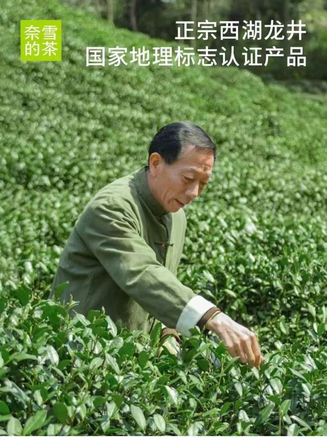 这一届超半岛·BOB官方网站模、健身博主、瑜伽教练……正在“整顿”茶饮！(图14)