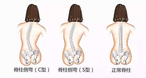 坚持这样练1周不BOB半岛入口仅小腹紧致四肢变得纤细有型气质也秒涨(图4)