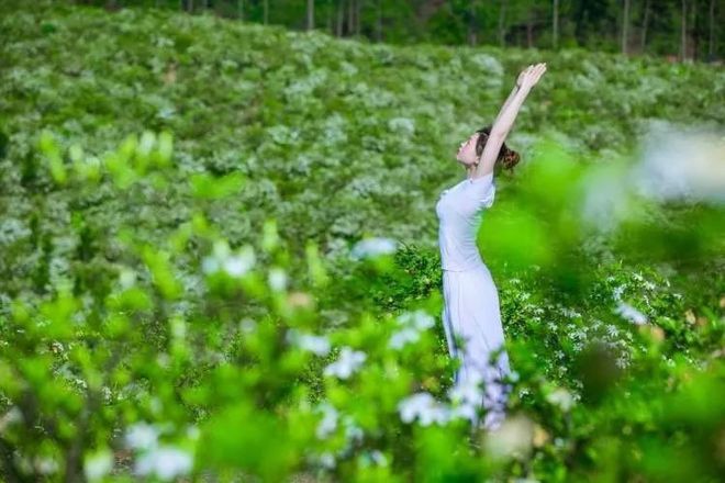 头条瑜伽节遇上拈花湾真的会bd半岛·中国官方网站很美！(图10)